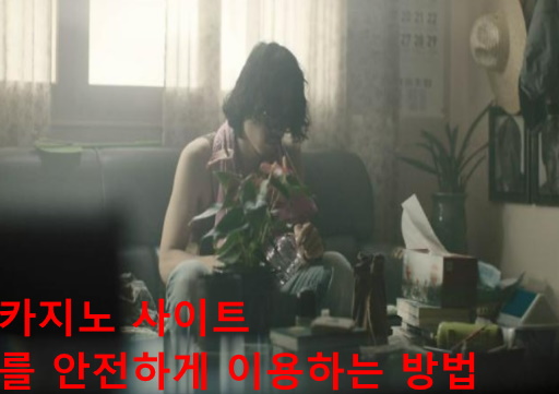 카지노 사이트